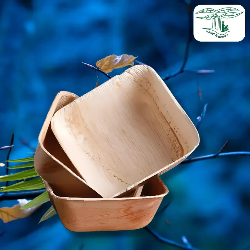 Areca leaf Square Bowls which is Biodegradable and Eco-Friendly.